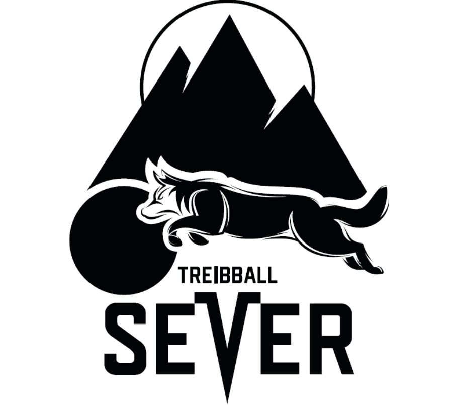 Treibball Sever